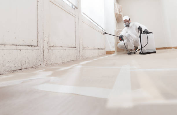 24/7 Emergency Bathroom Mold Removal experts in Jacksonville, OR