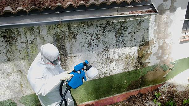 Top rated local Bathroom Mold Removal specialists in Jacksonville, OR